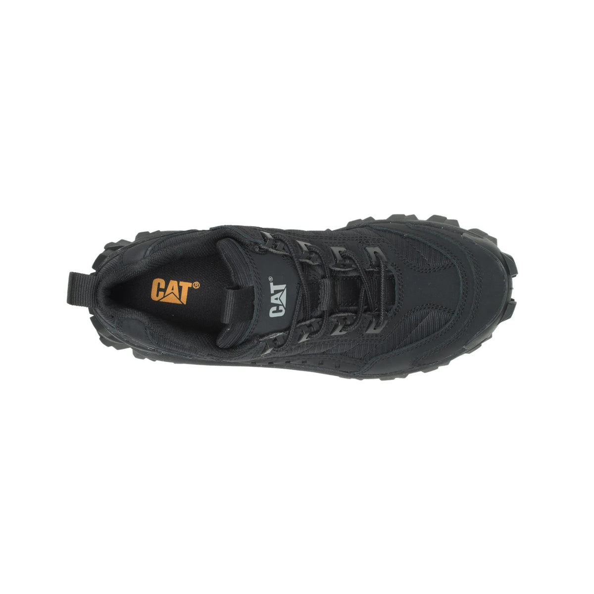 Unisex Intruder Shoe  - Cat Footwear Men|Women