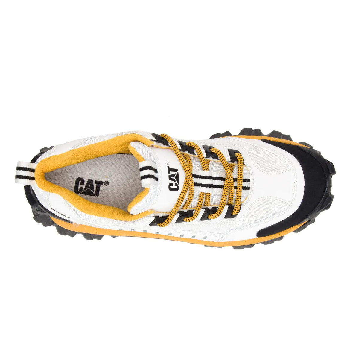 Unisex Intruder Shoe  - Cat Footwear Men|Women
